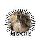 もちゃ専用（個別スタンプ：9）