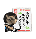 もちゃ専用（個別スタンプ：13）