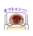 ふわふわダックスのスタンプ（個別スタンプ：22）