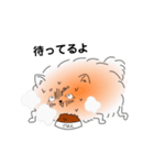 カラフルポメラニアン（個別スタンプ：7）