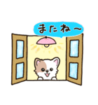 ふわもふ♡チワワ 冬★年末年始（個別スタンプ：40）