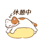 たまに伸びるねこ（個別スタンプ：19）