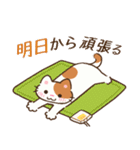 たまに伸びるねこ（個別スタンプ：23）