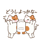 たまに伸びるねこ（個別スタンプ：30）