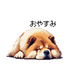 ドット絵 チャウチャウ 日常会話 40種（個別スタンプ：2）