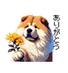 ドット絵 チャウチャウ 日常会話 40種（個別スタンプ：3）