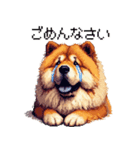 ドット絵 チャウチャウ 日常会話 40種（個別スタンプ：16）