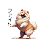 ドット絵 チャウチャウ 日常会話 40種（個別スタンプ：17）