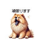 ドット絵 チャウチャウ 日常会話 40種（個別スタンプ：23）