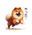 ドット絵 チャウチャウ 日常会話 40種（個別スタンプ：25）