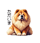 ドット絵 チャウチャウ 日常会話 40種（個別スタンプ：36）