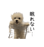 dog stickers 770 Ver.1（個別スタンプ：23）