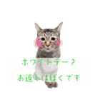 ねこさん［イベント編］（個別スタンプ：10）