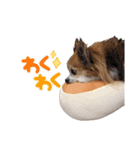 ルーク3（個別スタンプ：2）