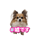 ルーク3（個別スタンプ：8）