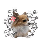 ルーク3（個別スタンプ：22）