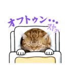 むぎおこちゃんの日常（個別スタンプ：26）