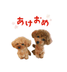 我が家のマイケル、レディ お正月ver（個別スタンプ：3）