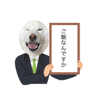 豆ちゃんタイプの白柴（個別スタンプ：9）