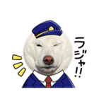 豆ちゃんタイプの白柴（個別スタンプ：10）
