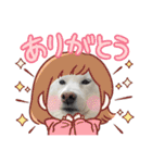豆ちゃんタイプの白柴（個別スタンプ：12）