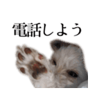 ルルさん！喋る犬がいる暮らし（個別スタンプ：18）
