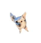 ルルさん！喋る犬がいる暮らし（個別スタンプ：21）