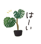 一年中つかえる♥️かわいい多肉・観葉植物（個別スタンプ：27）