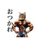 【毎日使える】マッスルキャット〜筋肉猫〜（個別スタンプ：2）