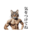 【毎日使える】マッスルキャット〜筋肉猫〜（個別スタンプ：16）