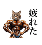 【毎日使える】マッスルキャット〜筋肉猫〜（個別スタンプ：28）