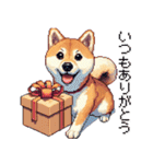 大好きを伝える柴犬 ドット絵 40種 すき（個別スタンプ：5）