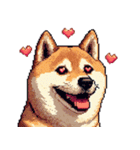 大好きを伝える柴犬 ドット絵 40種 すき（個別スタンプ：7）