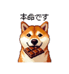 大好きを伝える柴犬 ドット絵 40種 すき（個別スタンプ：12）