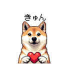 大好きを伝える柴犬 ドット絵 40種 すき（個別スタンプ：13）