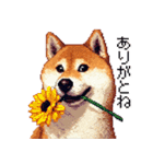 大好きを伝える柴犬 ドット絵 40種 すき（個別スタンプ：14）