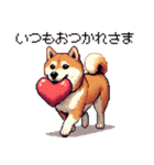 大好きを伝える柴犬 ドット絵 40種 すき（個別スタンプ：16）