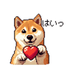 大好きを伝える柴犬 ドット絵 40種 すき（個別スタンプ：21）