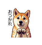 大好きを伝える柴犬 ドット絵 40種 すき（個別スタンプ：22）