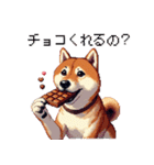 大好きを伝える柴犬 ドット絵 40種 すき（個別スタンプ：24）