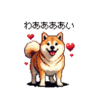 大好きを伝える柴犬 ドット絵 40種 すき（個別スタンプ：25）