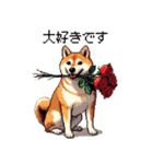 大好きを伝える柴犬 ドット絵 40種 すき（個別スタンプ：28）