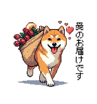 大好きを伝える柴犬 ドット絵 40種 すき（個別スタンプ：33）