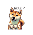 大好きを伝える柴犬 ドット絵 40種 すき（個別スタンプ：34）