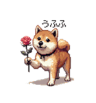 大好きを伝える柴犬 ドット絵 40種 すき（個別スタンプ：35）