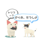 やさしいせかいせん（個別スタンプ：1）