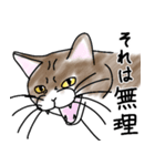 表情豊かな猫さんスタンプ（個別スタンプ：5）