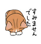 表情豊かな猫さんスタンプ（個別スタンプ：6）