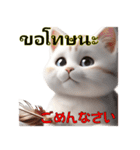 タイ語と日本語の猫スタンプ（個別スタンプ：11）