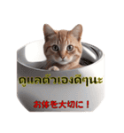 タイ語と日本語の猫スタンプ（個別スタンプ：29）